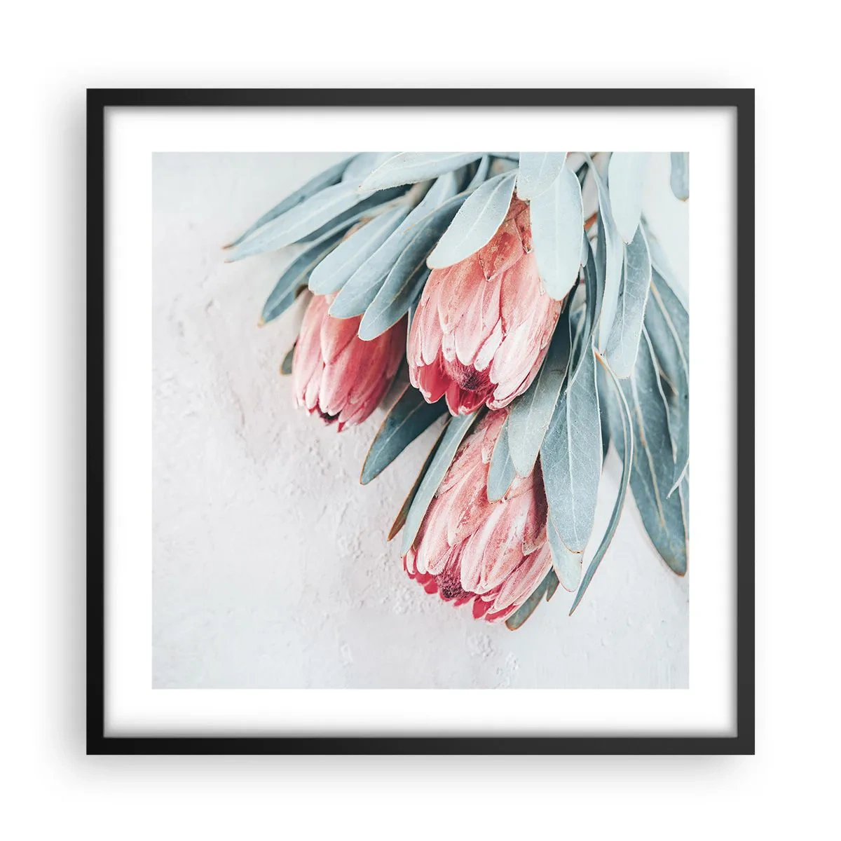 Poszter fehér keretben - Szégyellve saját szépségüket - 50x50 cm