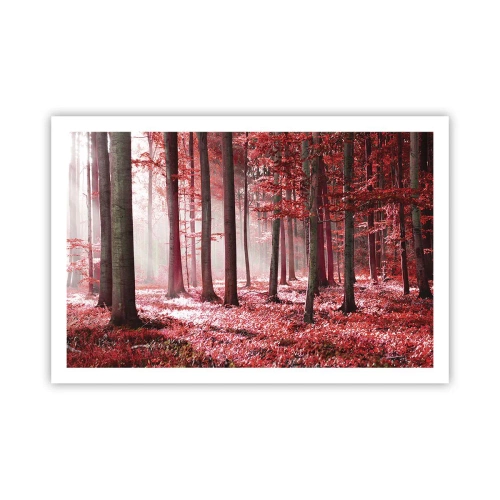 Poszter - A piros különösen szép - 91x61 cm