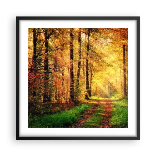 Poszter fehér keretben - Erdei, arany csend - 50x50 cm