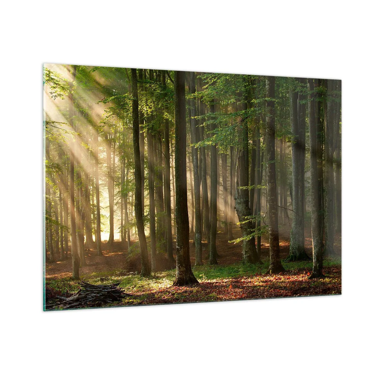 Üveg kép - Ragyogó tavaszi reggelen - 100x70 cm
