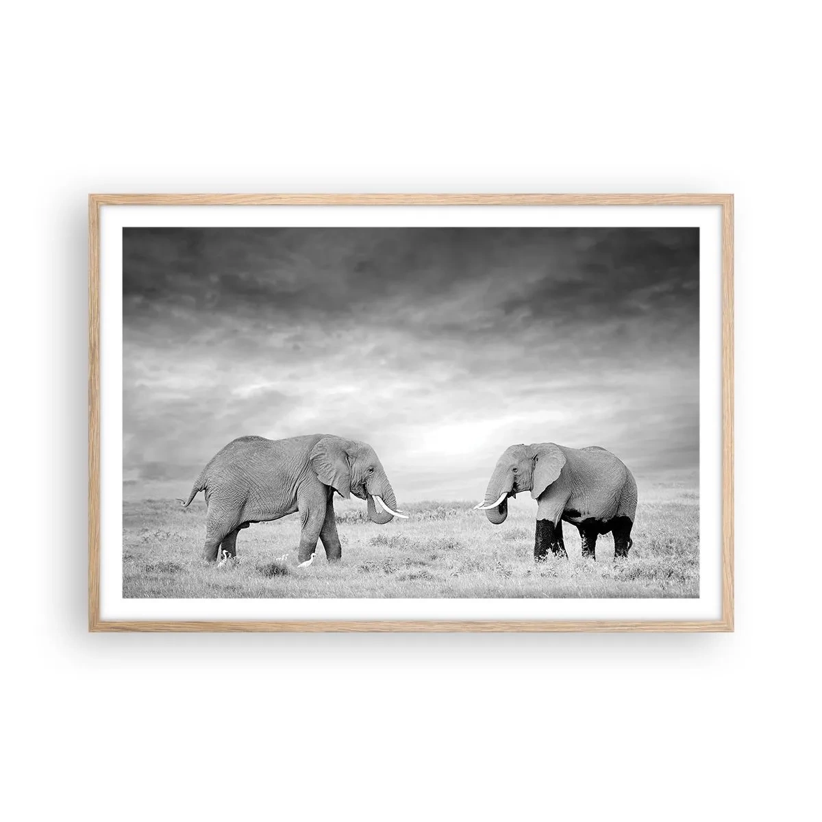 Poszter világos tölgy keretben - A szürke gyönyörű - 91x61 cm