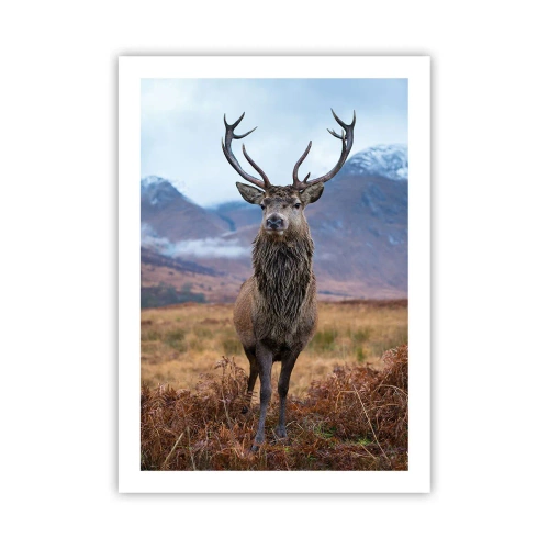 Poszter - Saját földön - 50x70 cm