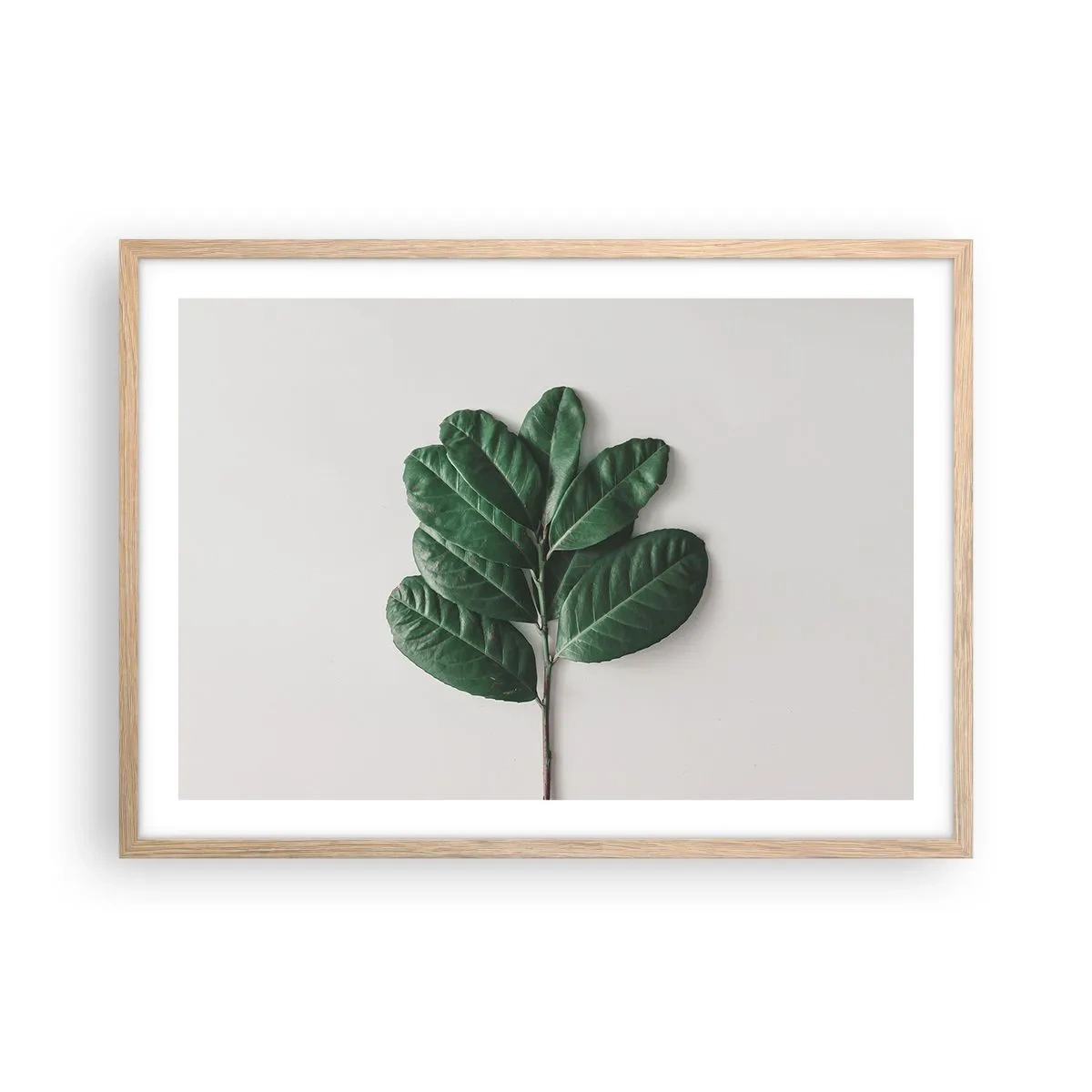 Poszter világos tölgy keretben - Rajz csak a természetről - 70x50 cm