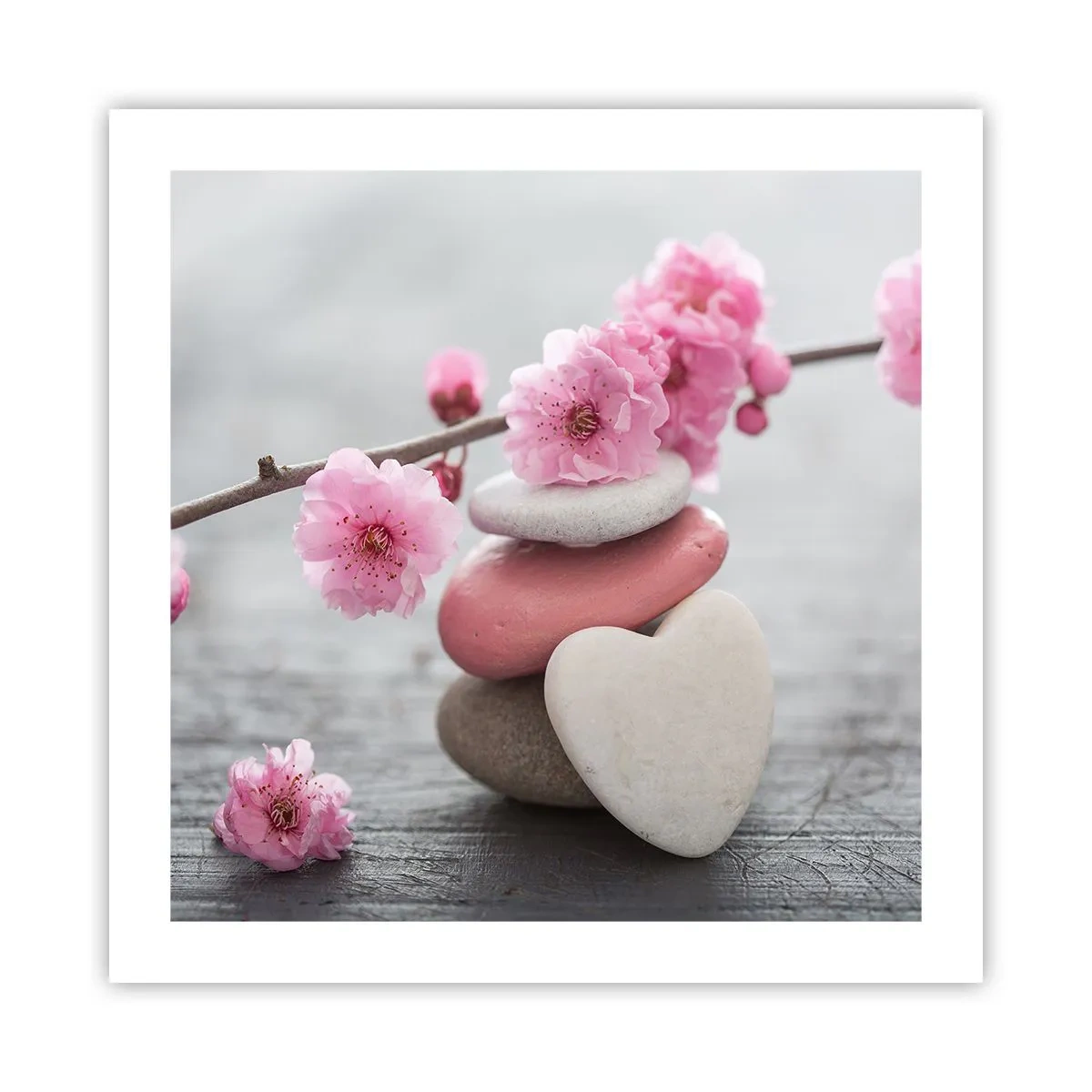 Poszter - Boldogság a cseresznyevirággal - 50x50 cm