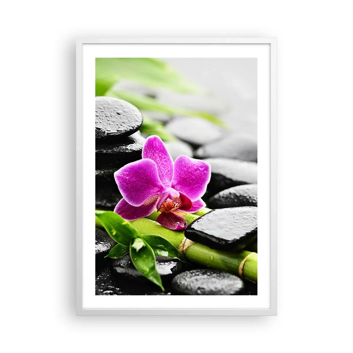 Poszter fekete keretben - Nyugodt egyensúlyban - 50x70 cm