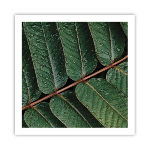 Poszter - Zöld ritmusban - 60x60 cm