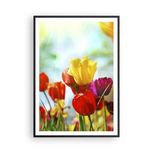 Poszter fehér keretben - A nap minden színe - 70x100 cm