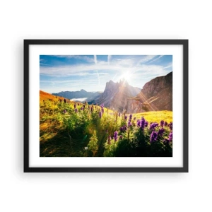 Poszter fehér keretben - A gyógynövények titkos élete - 50x40 cm