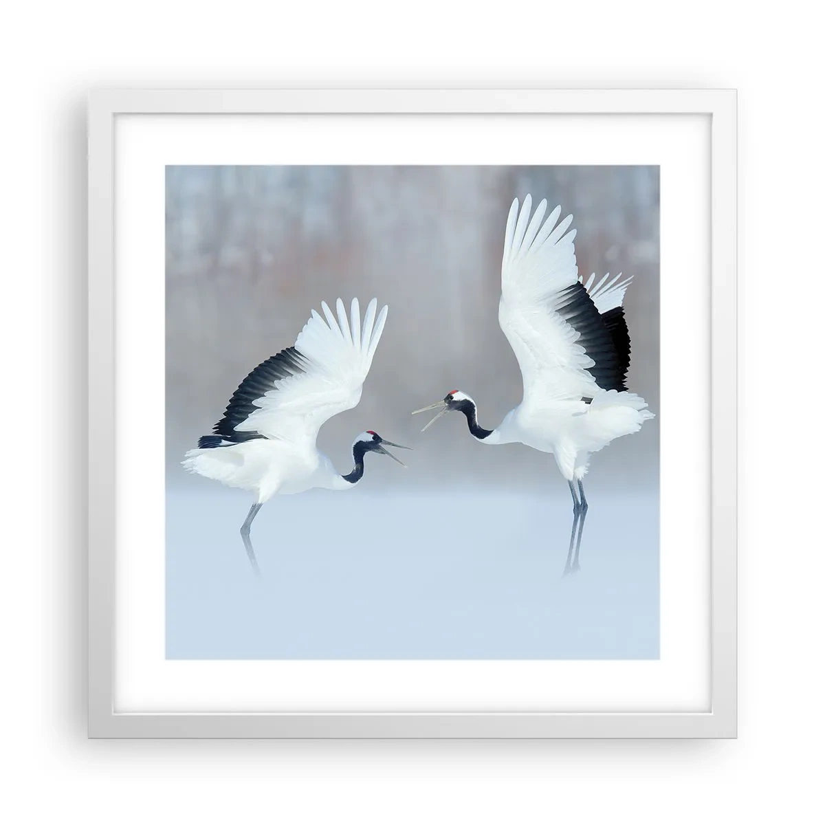 Poszter fekete keretben - Tánc a ködben - 40x40 cm