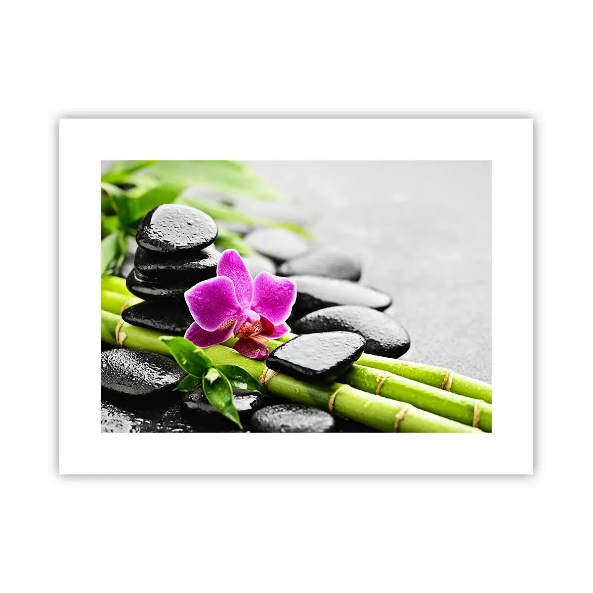 Poszter - Nyugodt egyensúlyban - 40x30 cm