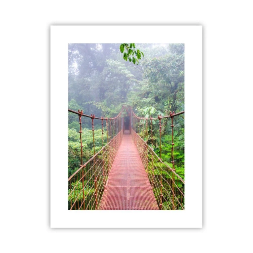 Poszter - A lomkoronák fölé függesztve - 30x40 cm