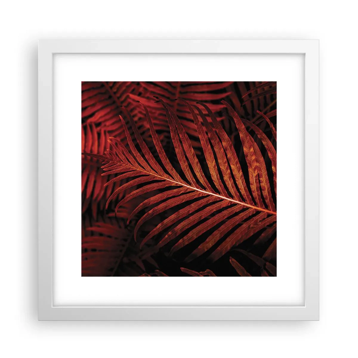 Poszter fekete keretben - Az élet vörös színe - 30x30 cm