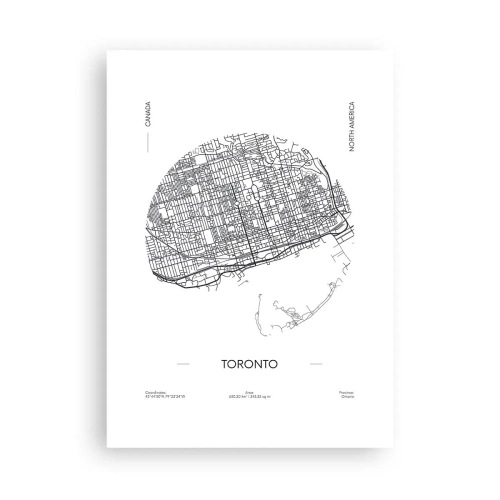 Poszter - Toronto anatómiája - 50x70 cm