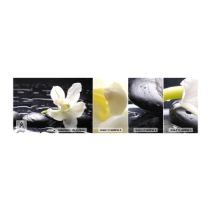 Fotótapéta Minta Öntapadós Deluxe Sticker - Egy tanulmány fekete-fehérben - Virágok, Kövek, Orchidea - 100x30 cm