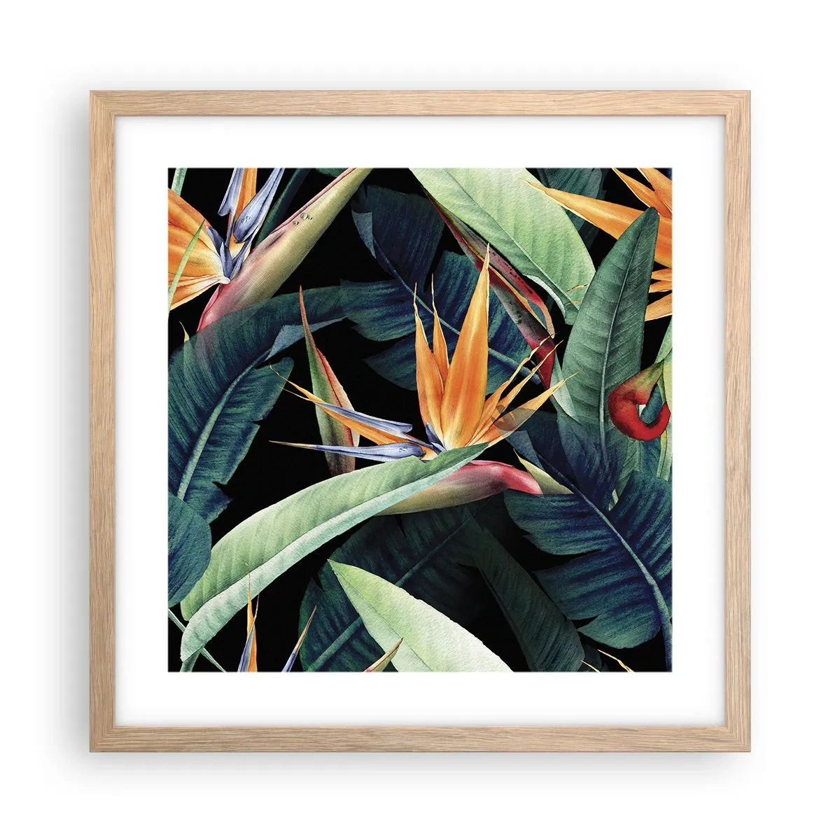 Poszter világos tölgy keretben - A trópusok lángoló virágai - 40x40 cm