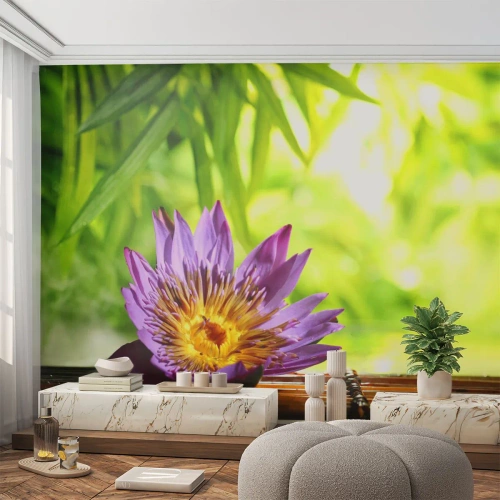 Fotótapéta Standard Eco - Az ázsiai napon - Virág, lótusz virág, Bambusz - 500x350 cm