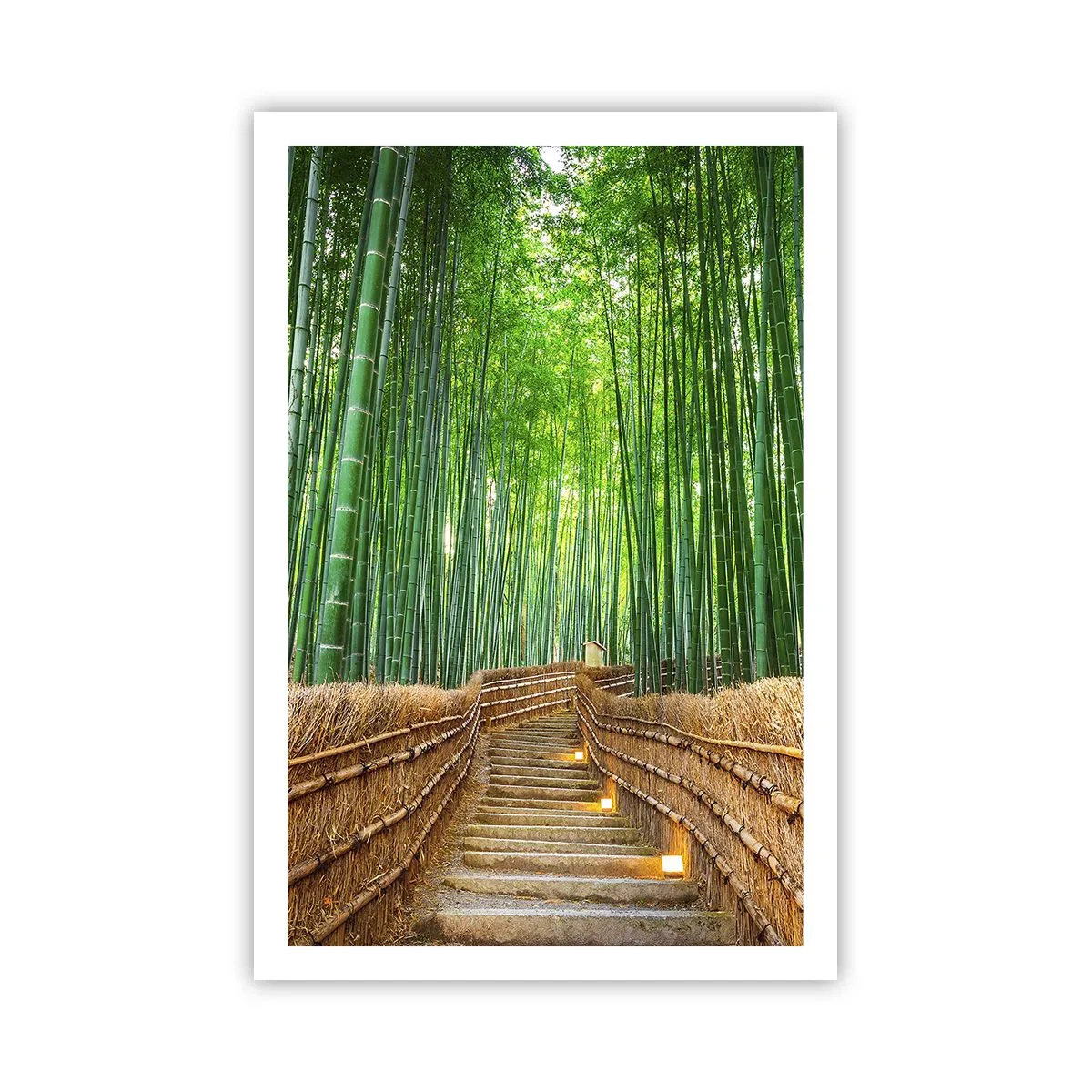 Poszter - Az ázsiai természet esszenciája - 61x91 cm