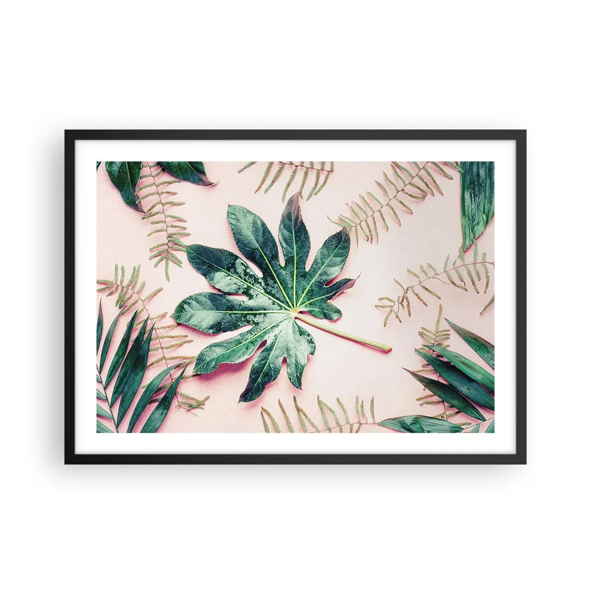 Poszter fehér keretben - A zöld tanulmánya a rózsaszín háttérben - 70x50 cm