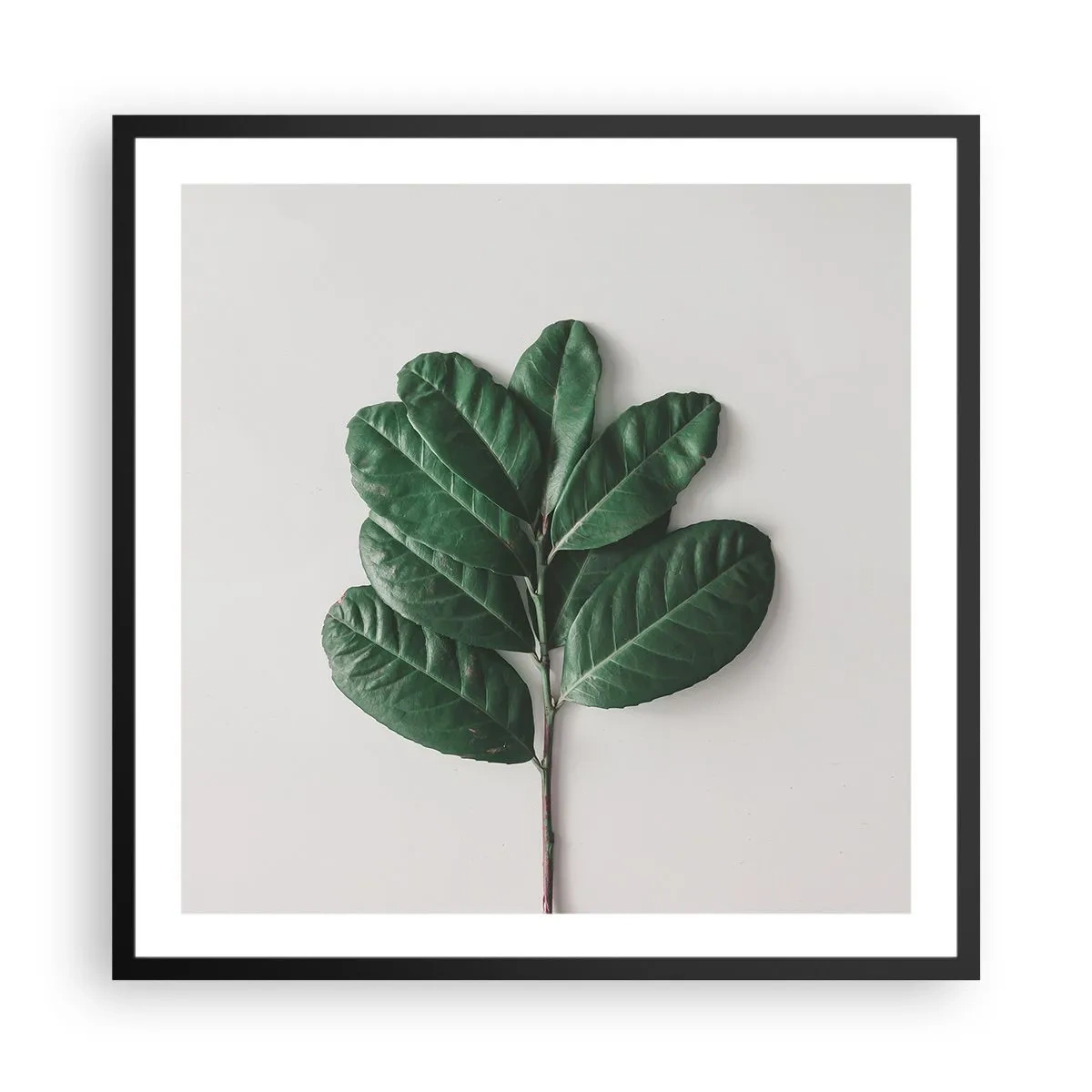 Poszter fehér keretben - Rajz csak a természetről - 60x60 cm