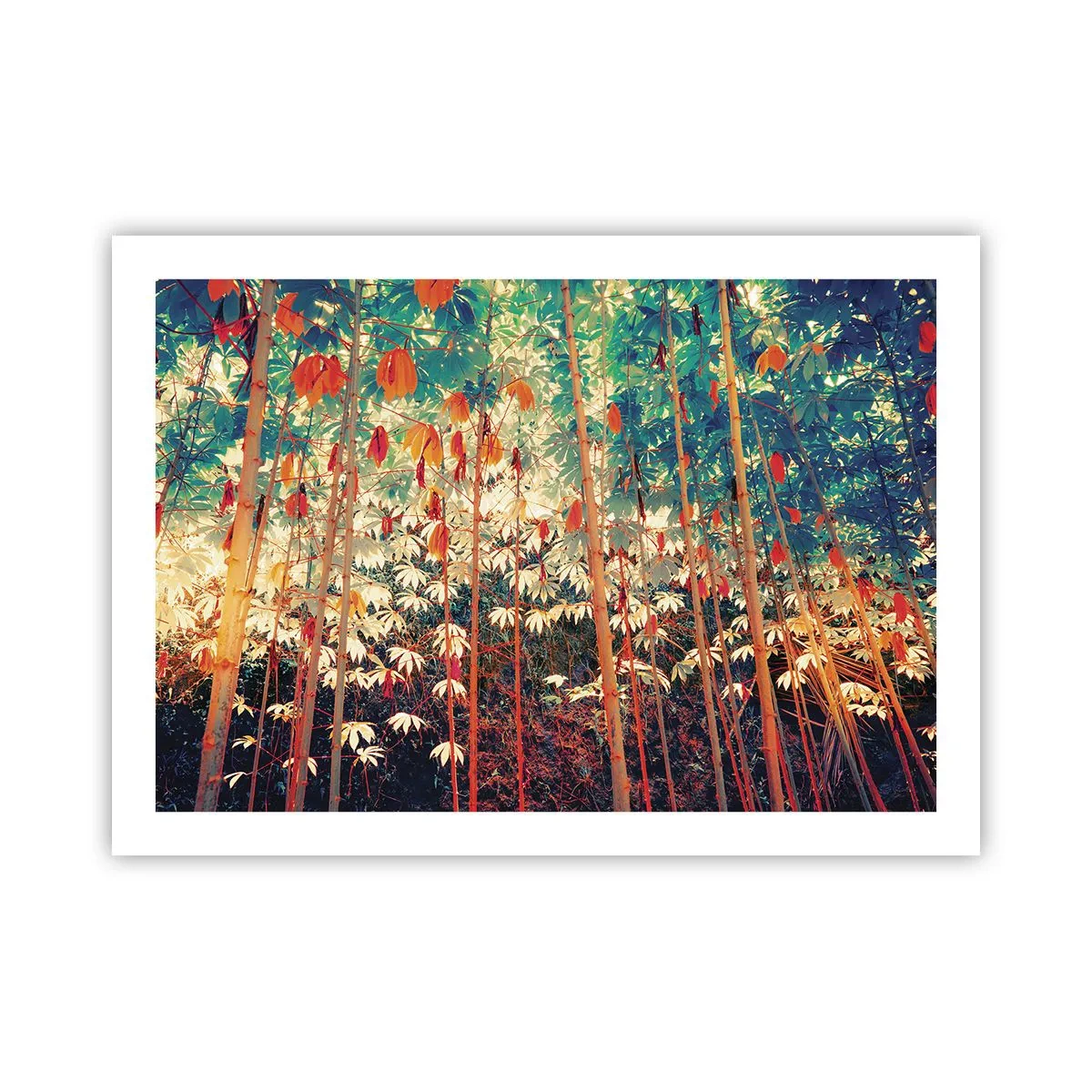 Poszter - A levelek titkos élete - 70x50 cm
