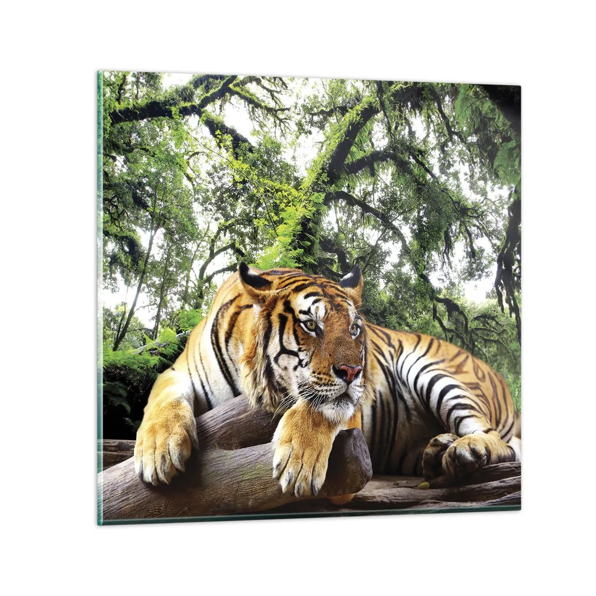 Üveg kép - Tisztelettel - 30x30 cm