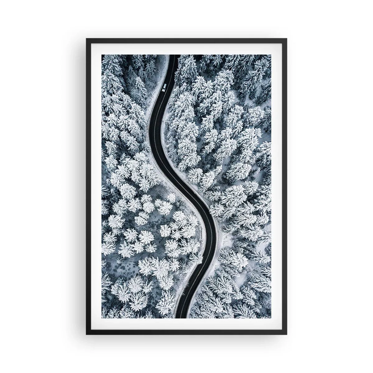 Poszter fehér keretben - A téli erdőn - 61x91 cm