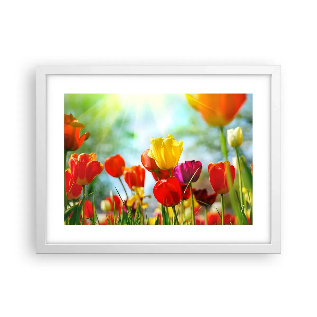 Poszter fekete keretben - A nap minden színe - 40x30 cm