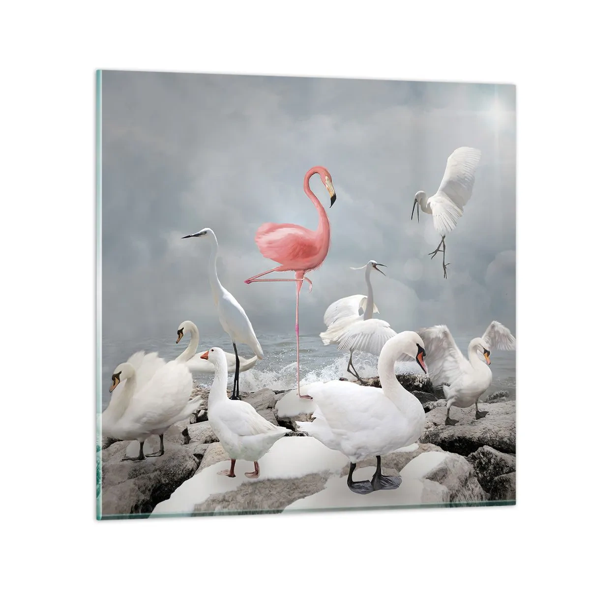 Üveg kép - Hogy kerültem ide? - 70x70 cm