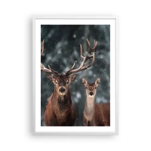 Poszter fekete keretben - Az erdő ura a feleségével - 50x70 cm