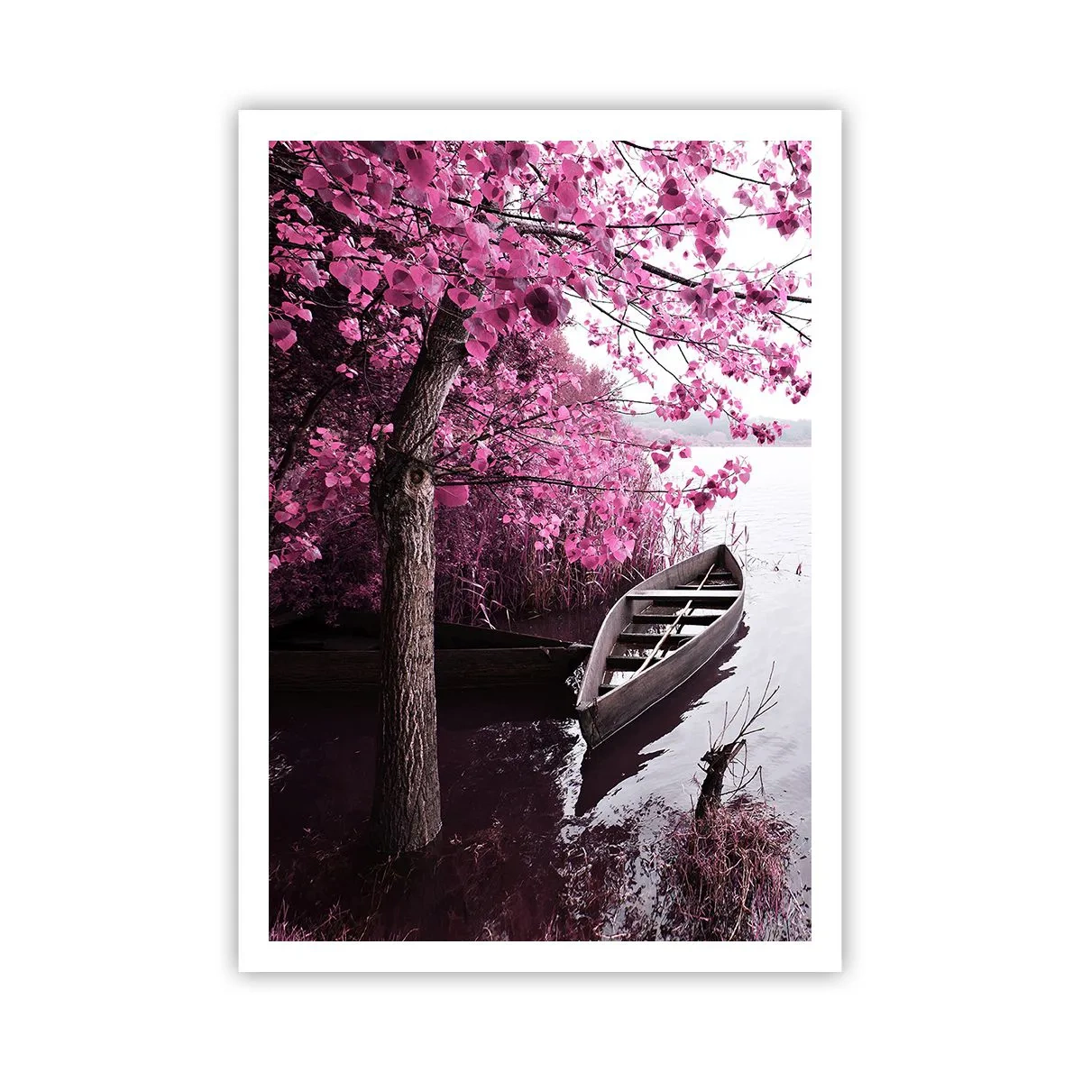 Poszter - Rózsaszín csendben - 70x100 cm