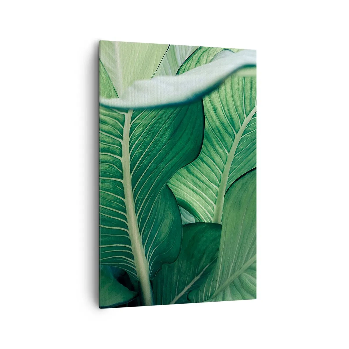 Vászonkép - Intenzíven zöld élet - 80x120 cm