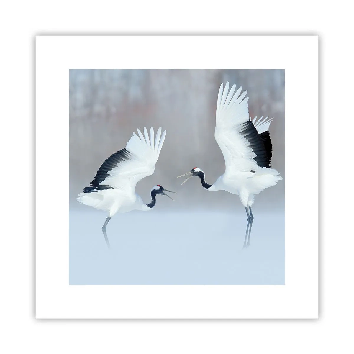 Poszter - Tánc a ködben - 30x30 cm