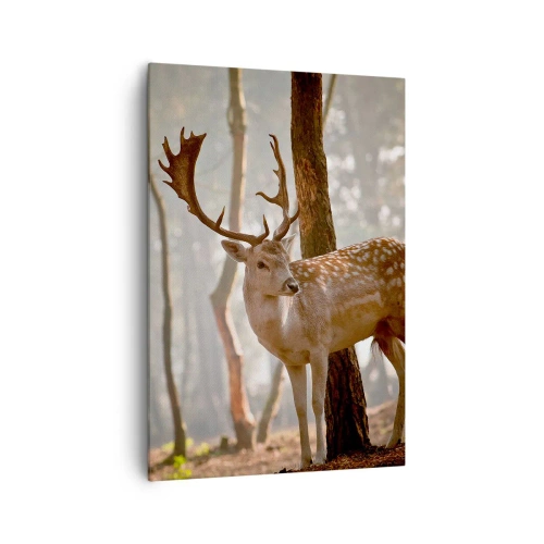 Vászonkép - A fiatalság fénye - 70x100 cm