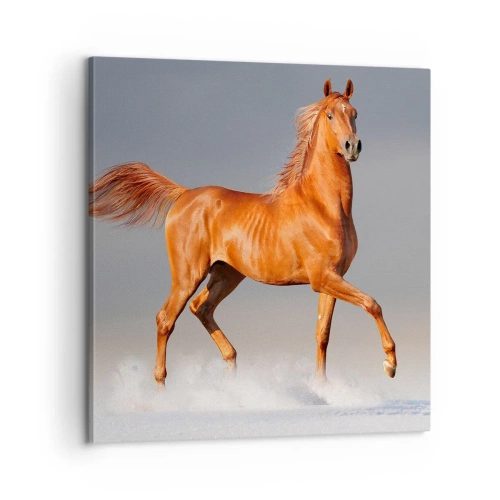 Vászonkép - Táncoló szépség - 60x60 cm