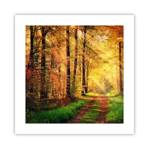 Poszter - Erdei, arany csend - 40x40 cm