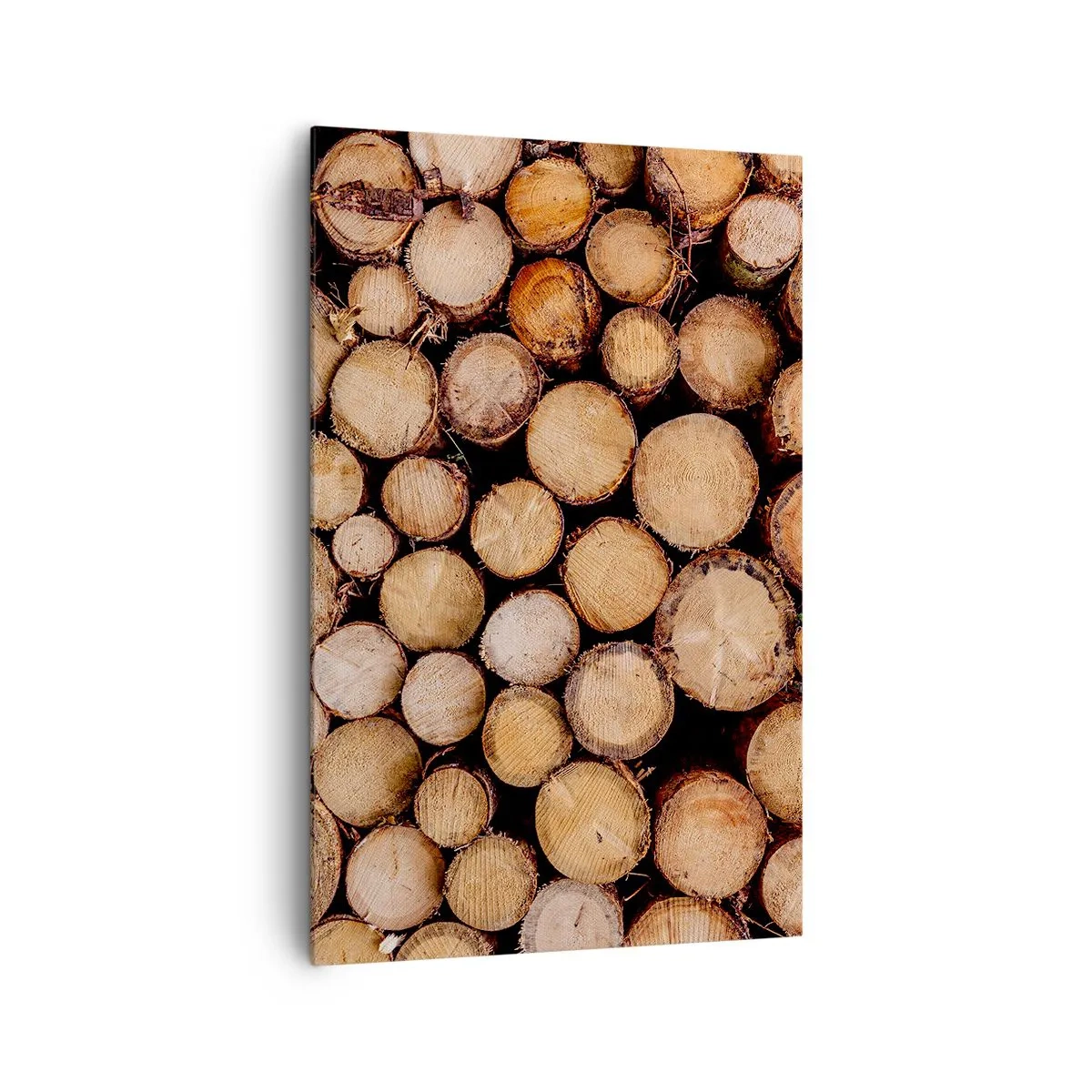 Vászonkép - Egy új kezdet - 80x120 cm