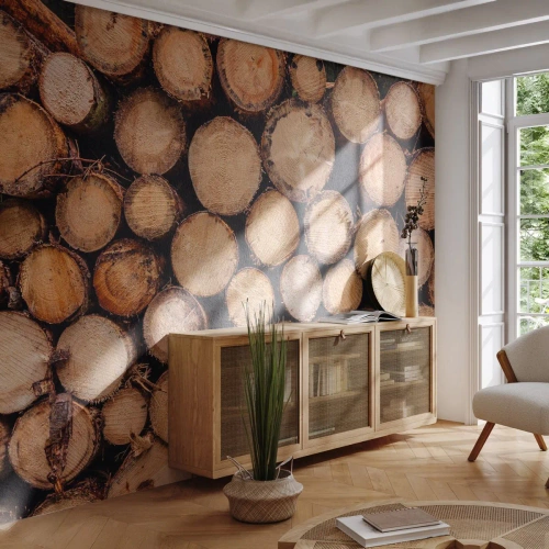 Fotótapéta Standard Eco - Egy új kezdet - Faipari, Fa rönkök, Természet - 150x105 cm