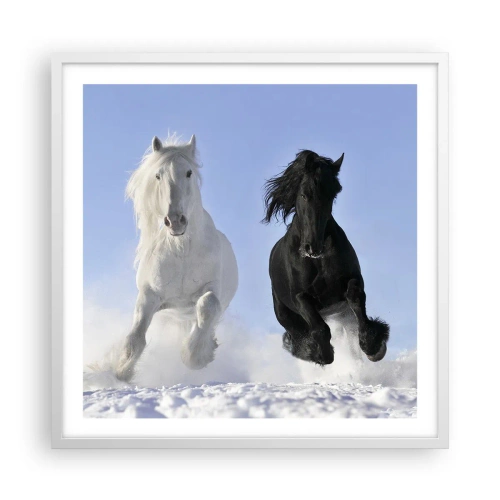 Poszter fekete keretben - Fekete-fehér galopp - 60x60 cm