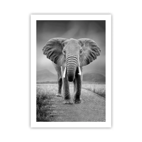 Poszter - A házigazda üdvözli - 50x70 cm