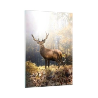 80x120 cm | Függőleges