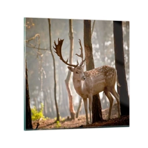 Üveg kép - A fiatalság fénye - 50x50 cm