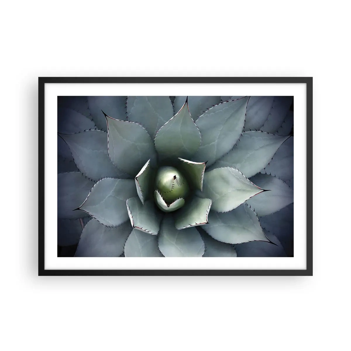 Poszter fehér keretben - Wabi és figyelmeztetés - 70x50 cm