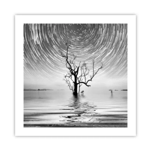 Poszter - A természet szimfóniája - 50x50 cm