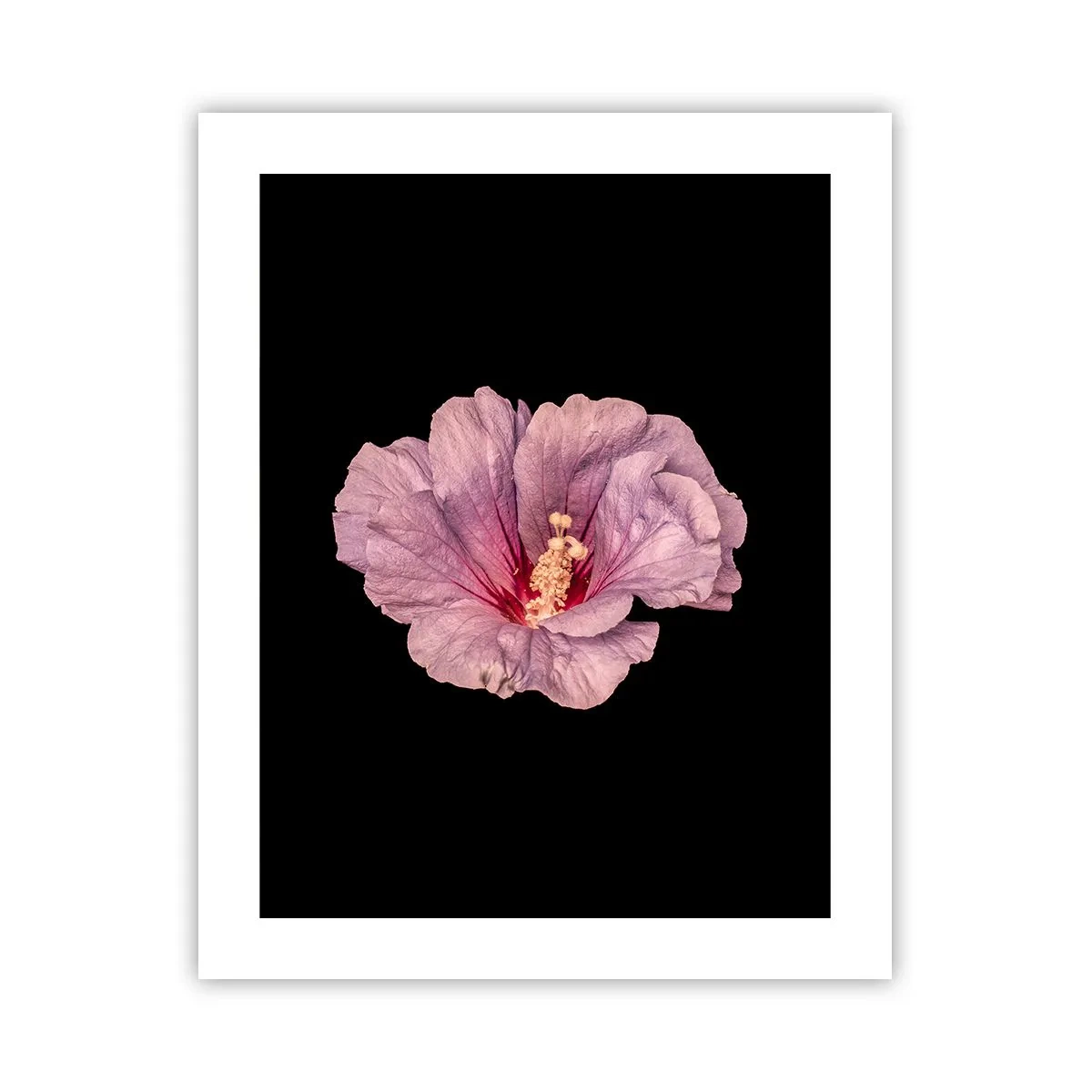 Poszter - Egyenesen a szív felé - 40x50 cm