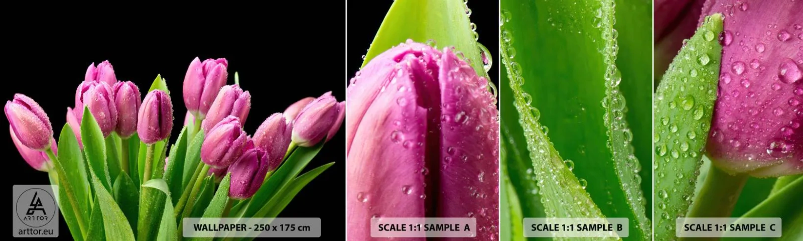 Fotótapéta Minta Öntapadós Deluxe Sticker - Lila tavaszi öröm - Virágok, Tulipánok, Csokor virág - 100x30 cm