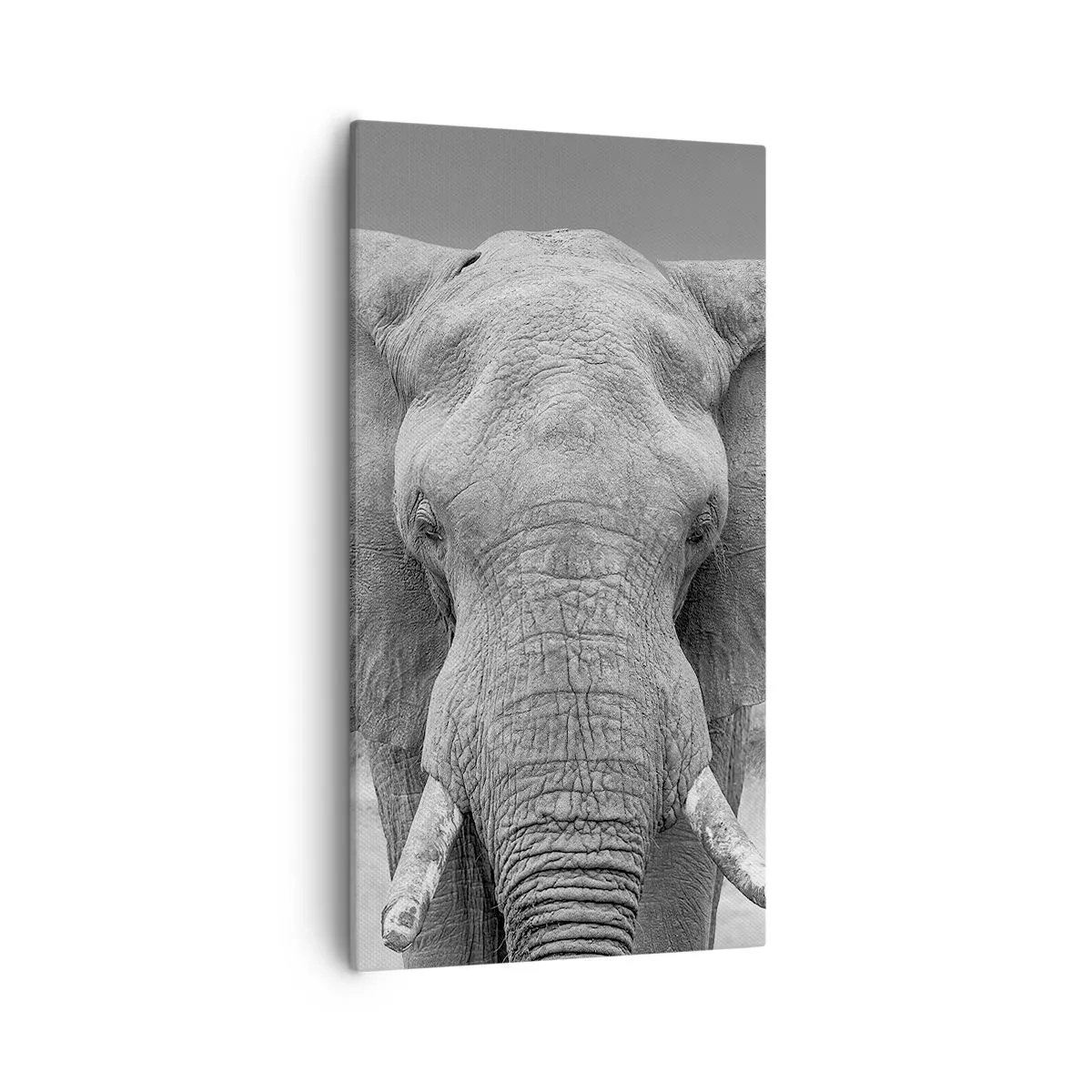 Vászonkép - Üdv a világomban - 55x100 cm