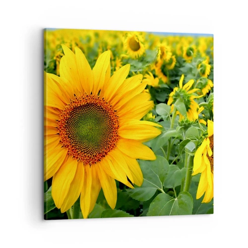 Vászonkép - Napok százai tűztek fel - 60x60 cm