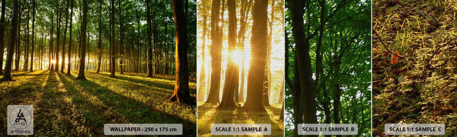 Fotótapéta Minta Premium Canvas - Minden tavasz fotója - Tájkép, Erdő, Természet - 100x30 cm