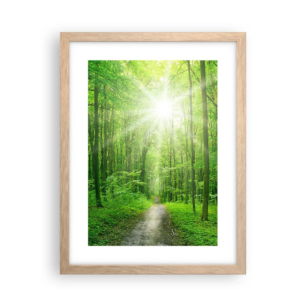 Poszter világos tölgy keretben - A zöld katedrális - 30x40 cm
