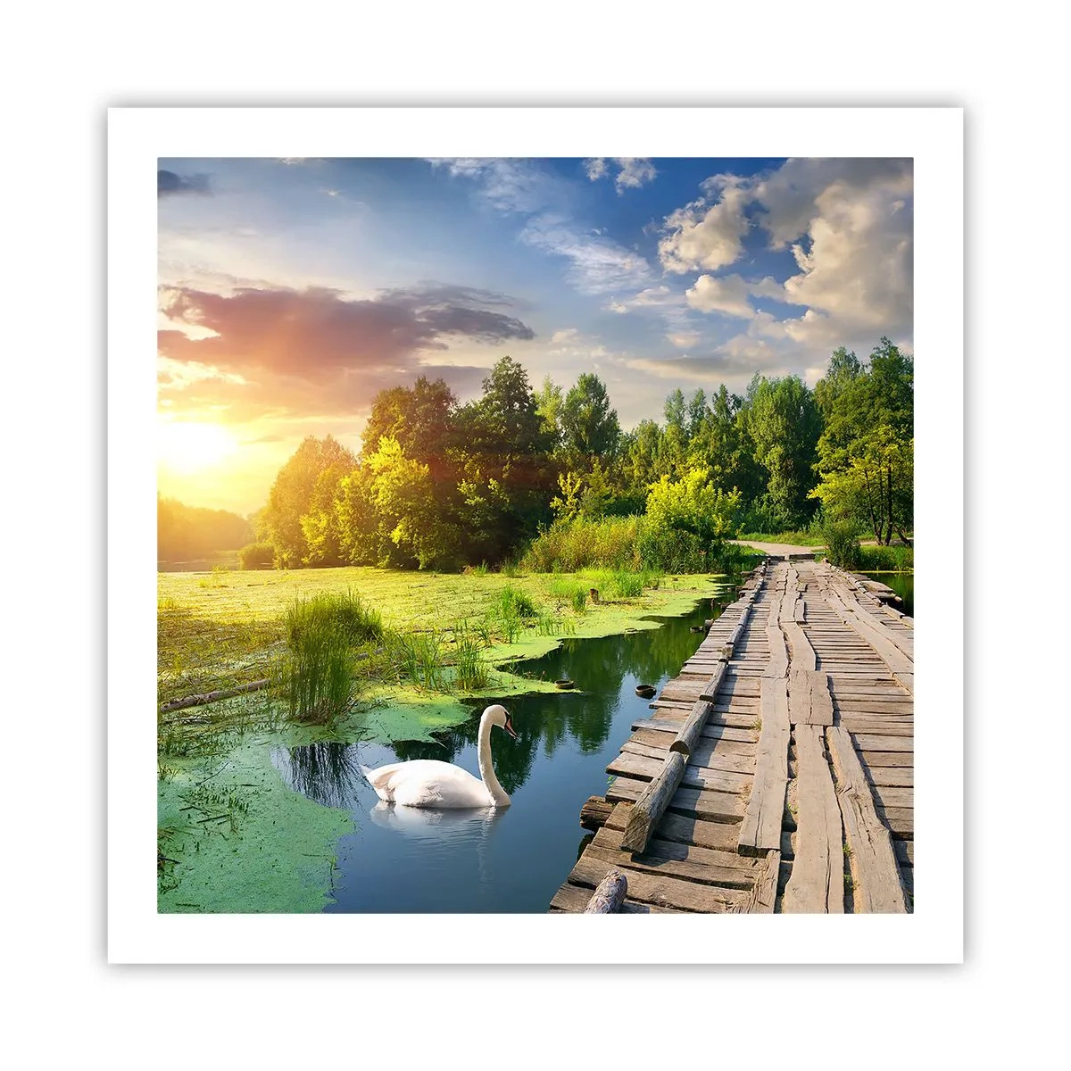 Poszter - Nyár, mindenhol nyár - 60x60 cm